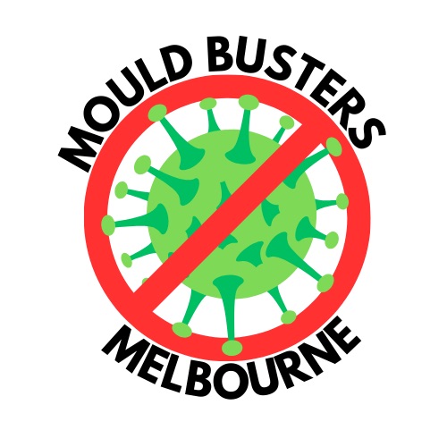 mould-busters.jpg